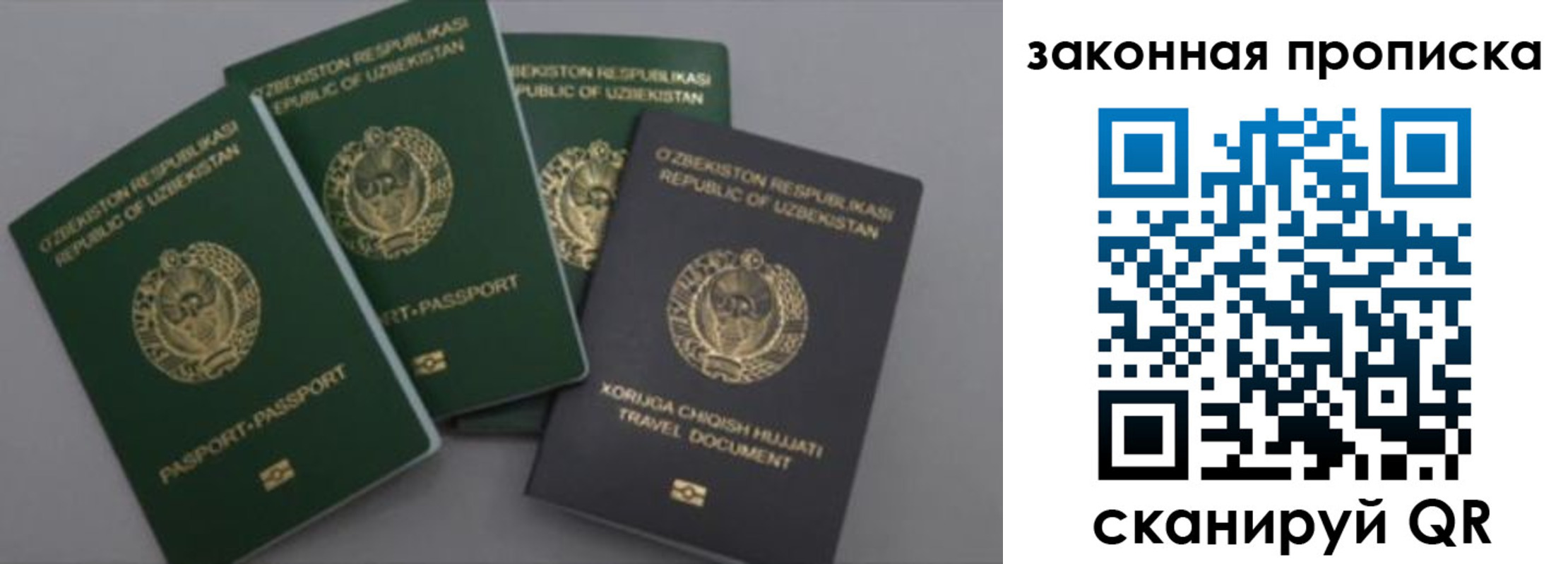 прописка законно в Каргате